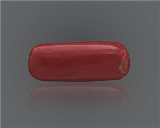 Red Coral (Moonga) Natural Certified 6.65 Ratti ( 84815 )